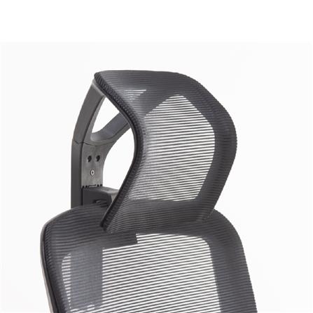 D.I.Y. เก้าอี้สุขภาพ WORKSCAPE LIBRA LITE WCH-00003 สีดำ_2