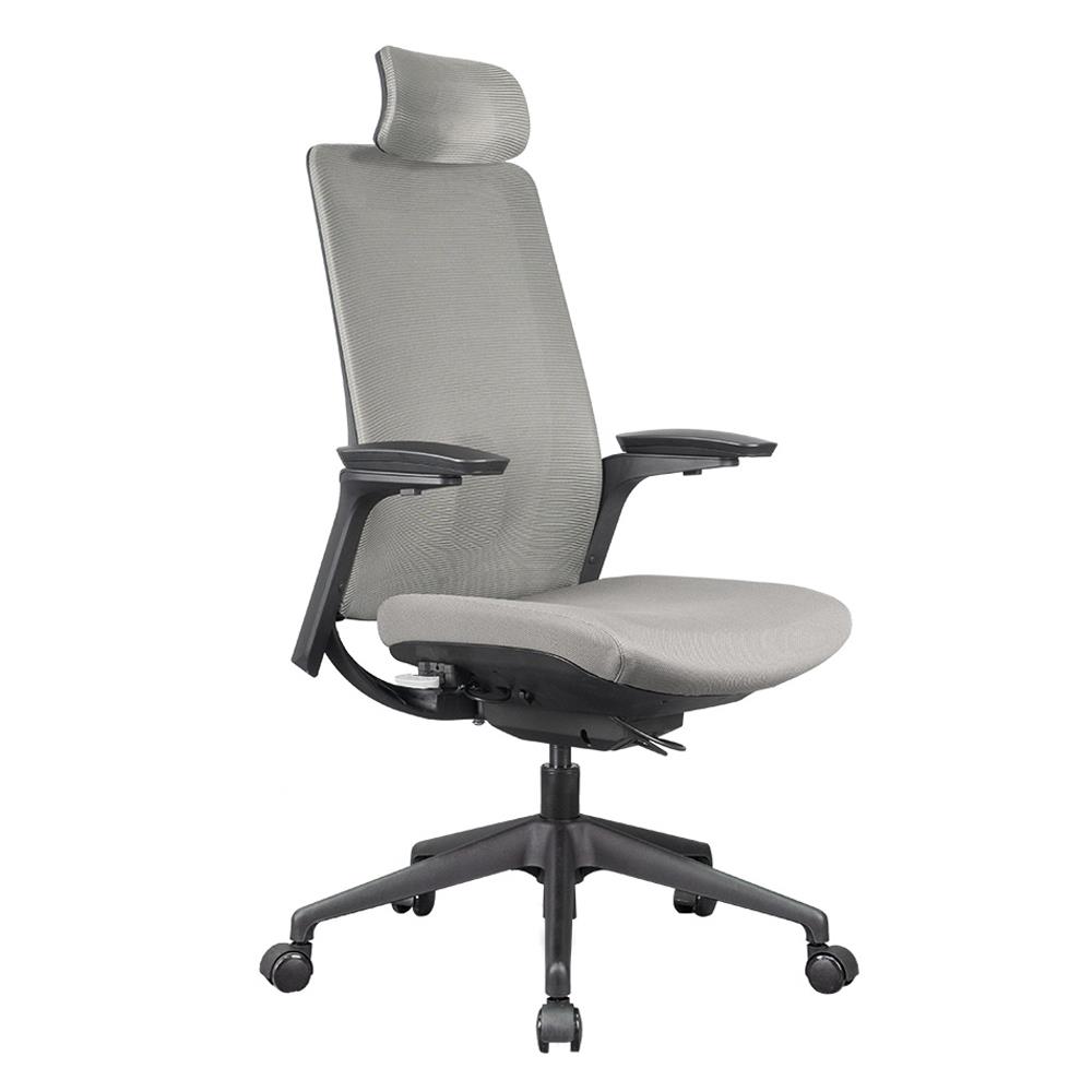 D.I.Y. เก้าอี้สุขภาพ WORKSCAPE MENSA WCH-00004 สีเทาเข้ม