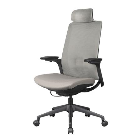 D.I.Y. เก้าอี้สุขภาพ WORKSCAPE MENSA WCH-00004 สีเ...