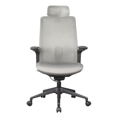 D.I.Y. เก้าอี้สุขภาพ WORKSCAPE MENSA WCH-00004 สีเทาเข้ม_1