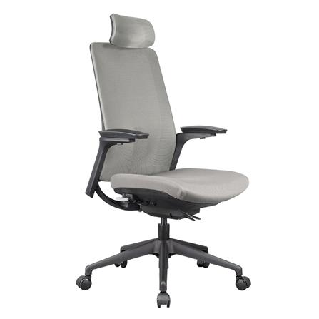 D.I.Y. เก้าอี้สุขภาพ WORKSCAPE MENSA WCH-00004 สีเทาเข้ม_2