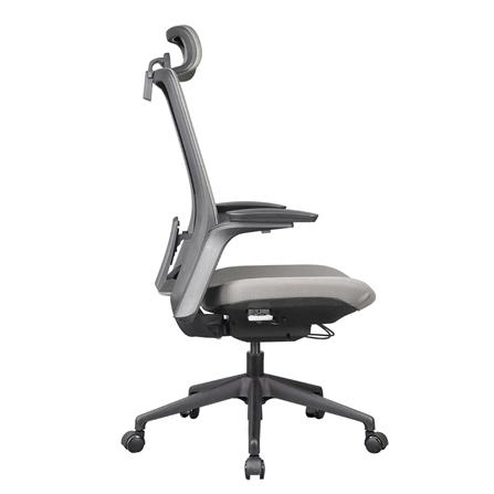 D.I.Y. เก้าอี้สุขภาพ WORKSCAPE MENSA WCH-00004 สีเทาเข้ม_3