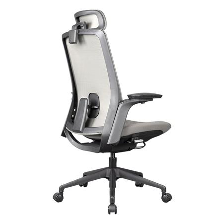 D.I.Y. เก้าอี้สุขภาพ WORKSCAPE MENSA WCH-00004 สีเทาเข้ม_4