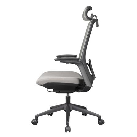 D.I.Y. เก้าอี้สุขภาพ WORKSCAPE MENSA WCH-00004 สีเทาเข้ม_7