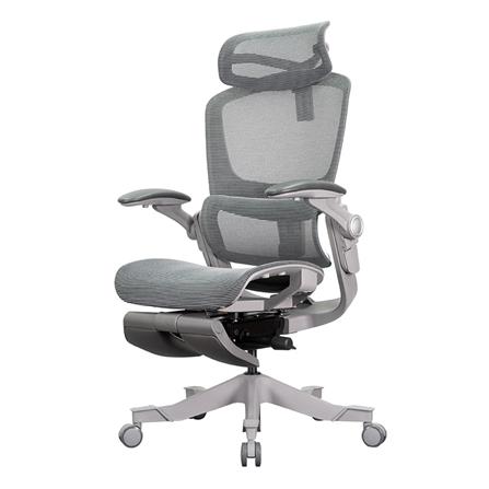 D.I.Y. เก้าอี้สุขภาพ WORKSCAPE VIRGO WCH-00009 สีเ...