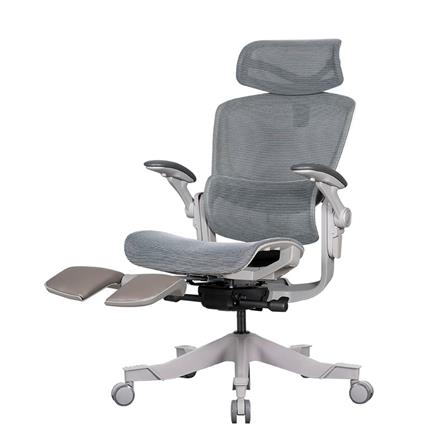 D.I.Y. เก้าอี้สุขภาพ WORKSCAPE VIRGO WCH-00009 สีเทา_1