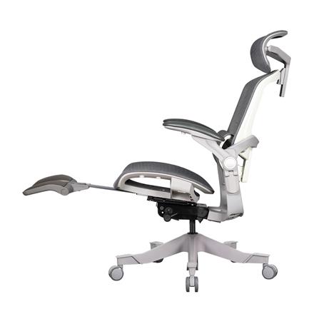 D.I.Y. เก้าอี้สุขภาพ WORKSCAPE VIRGO WCH-00009 สีเทา_4