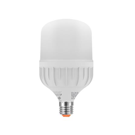 หลอด LED LAMPTAN HIGH WATT T-BULB 40 วัตต์ DAYLIGHT E27_1
