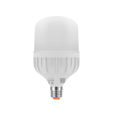 หลอด LED LAMPTAN HIGH WATT T-BULB 30 วัตต์ DAYLIGHT E27_1