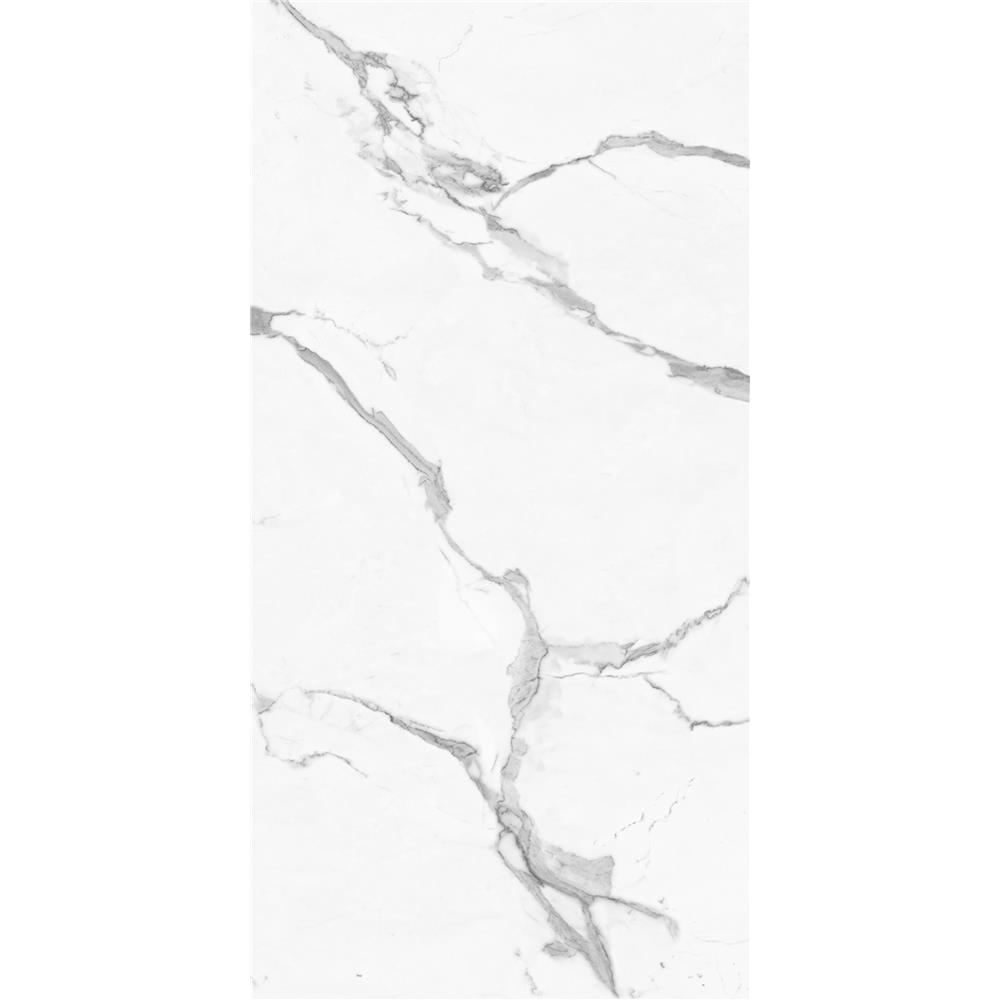 แผ่นตกแต่งผนัง LT BY COTTO เลนก้ามาร์เบิ้ล 2019 121x243 ซม.