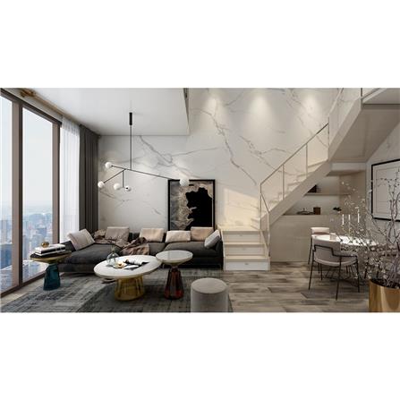 แผ่นตกแต่งผนัง LT BY COTTO เลนก้ามาร์เบิ้ล 2019 121x243 ซม._5