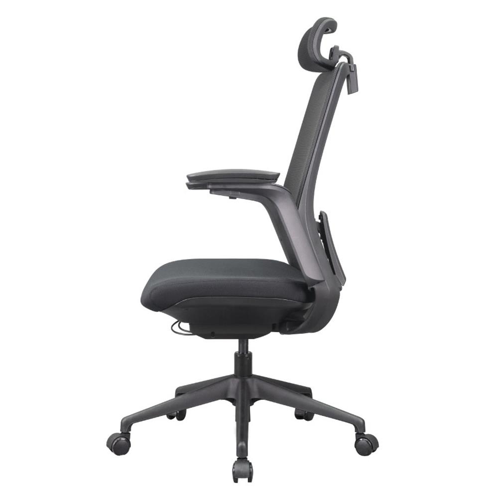 D.I.Y. เก้าอี้สุขภาพ WORKSCAPE MENSA สีดำ