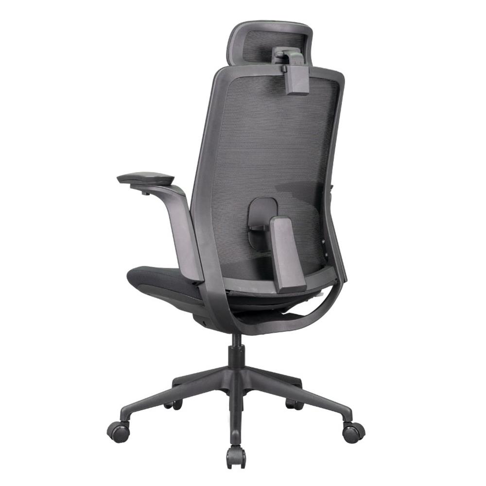 D.I.Y. เก้าอี้สุขภาพ WORKSCAPE MENSA สีดำ