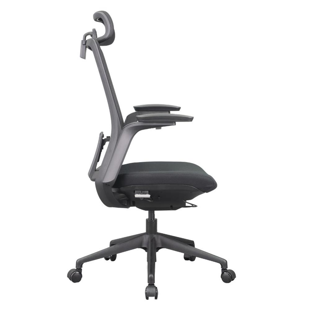 D.I.Y. เก้าอี้สุขภาพ WORKSCAPE MENSA สีดำ