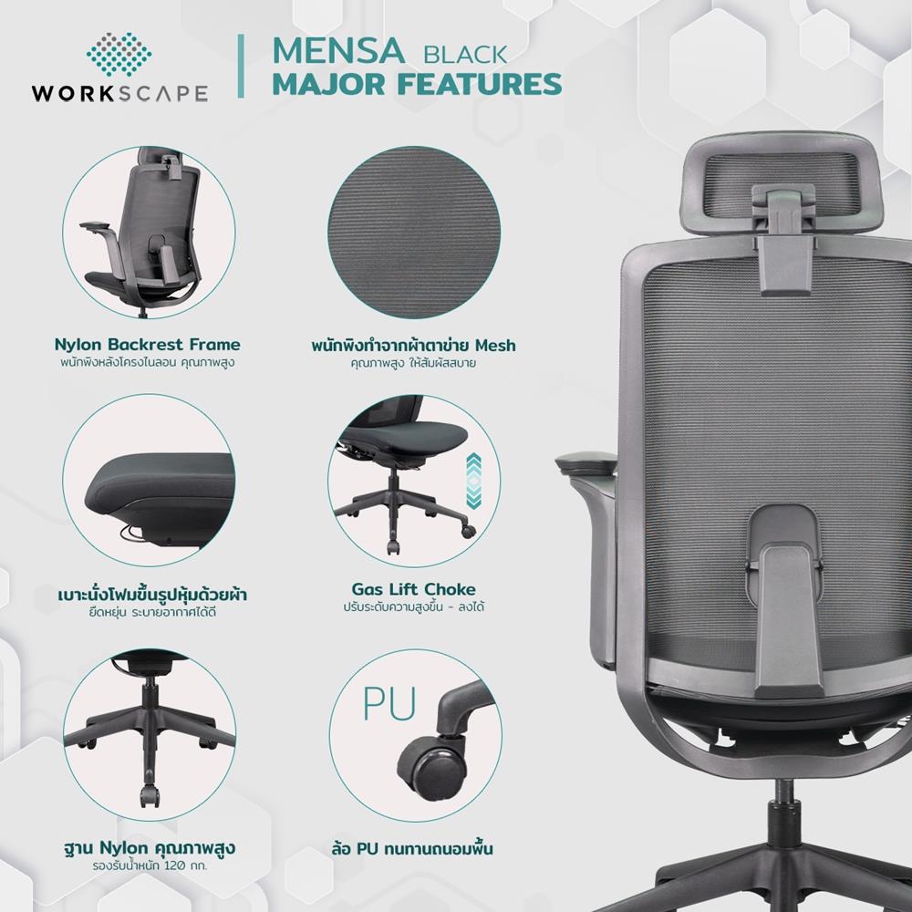 D.I.Y. เก้าอี้สุขภาพ WORKSCAPE MENSA สีดำ