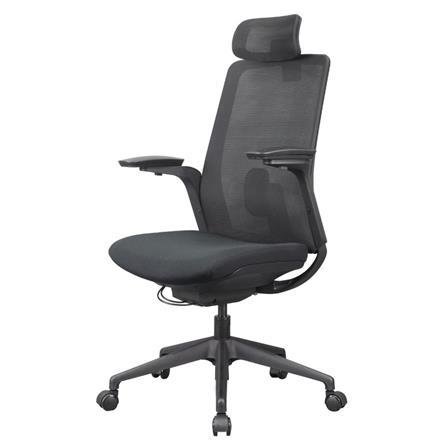 D.I.Y. เก้าอี้สุขภาพ WORKSCAPE MENSA สีดำ