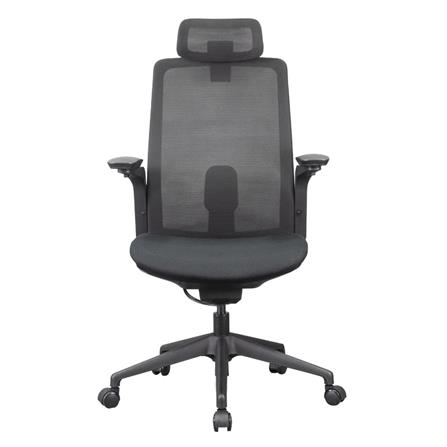 D.I.Y. เก้าอี้สุขภาพ WORKSCAPE MENSA สีดำ_1
