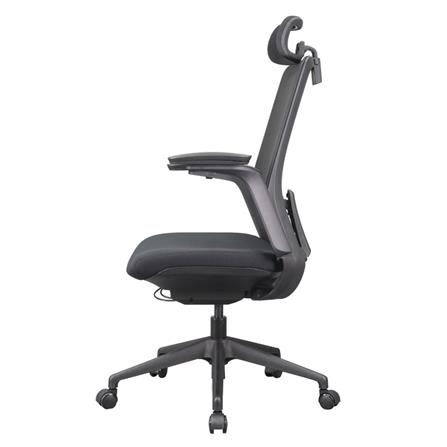 D.I.Y. เก้าอี้สุขภาพ WORKSCAPE MENSA สีดำ_2