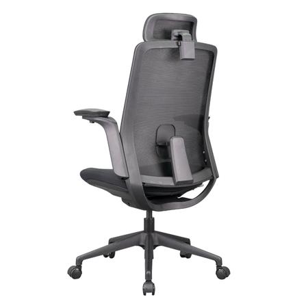 D.I.Y. เก้าอี้สุขภาพ WORKSCAPE MENSA สีดำ_3