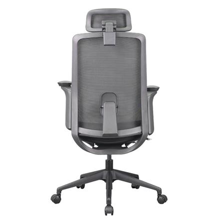 D.I.Y. เก้าอี้สุขภาพ WORKSCAPE MENSA สีดำ_4