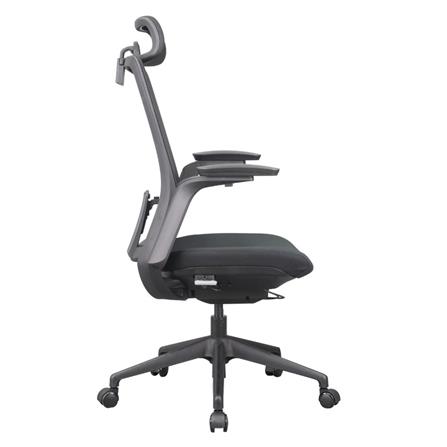 D.I.Y. เก้าอี้สุขภาพ WORKSCAPE MENSA สีดำ_5