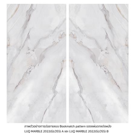 แผ่นตกแต่งผนัง LT BY COTTO ลู๊คมาร์เบิ้ล 2022-1 121x243 ซม._1
