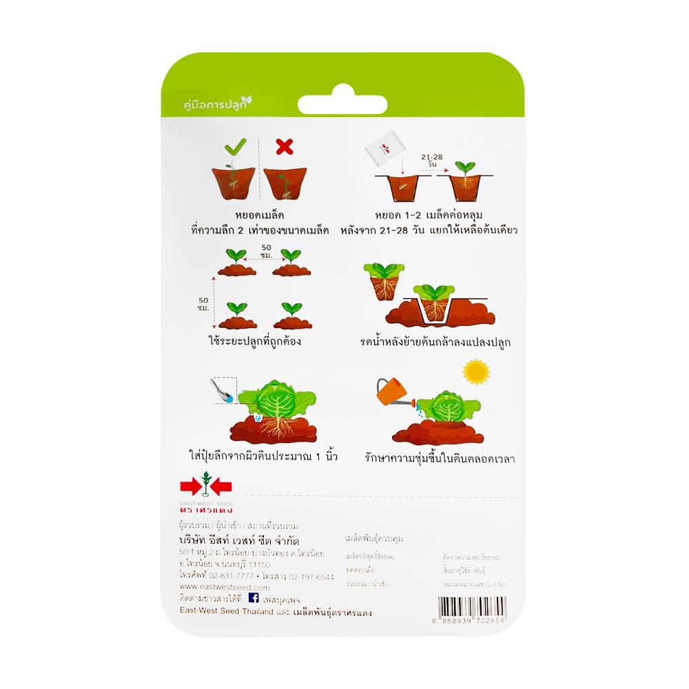 เมล็ดพันธุ์ผักกาดเขียวปลี กรอบมรกต ตราศรแดง
