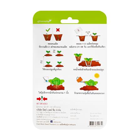 เมล็ดพันธุ์ผักกาดเขียวปลี กรอบมรกต ตราศรแดง_1