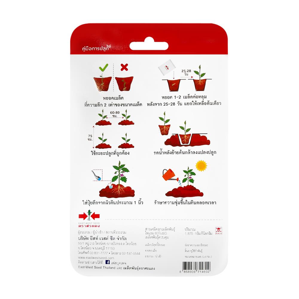 เมล็ดพันธุ์มะเขือเปราะสีม่วง หยาดดารา ตราศรแดง