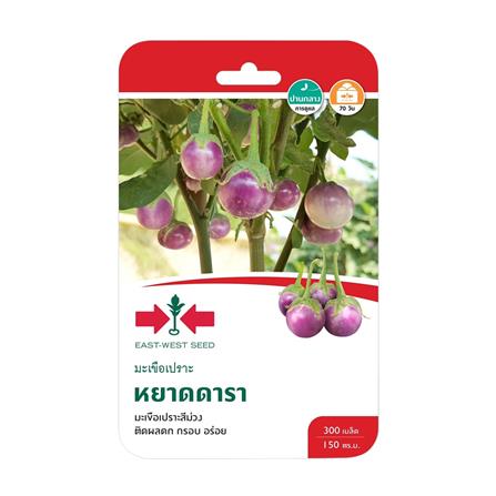 เมล็ดพันธุ์มะเขือเปราะสีม่วง หยาดดารา ตราศรแดง