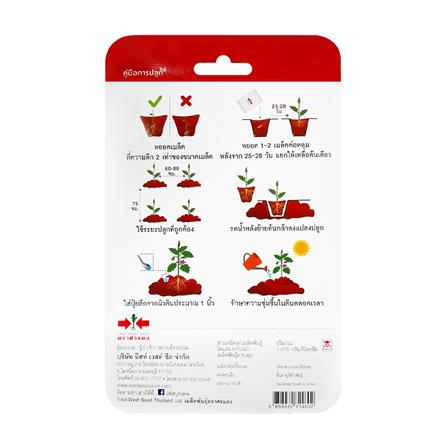 เมล็ดพันธุ์มะเขือเปราะสีม่วง หยาดดารา ตราศรแดง_1