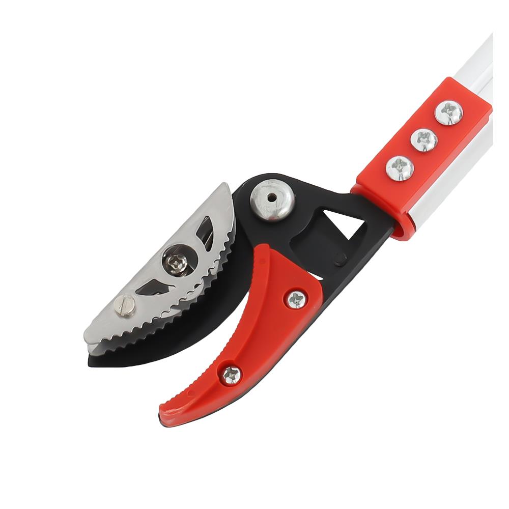 กรรไกรตัดหนีบผลไม้ ARAI METAL LP-300 3 ม.