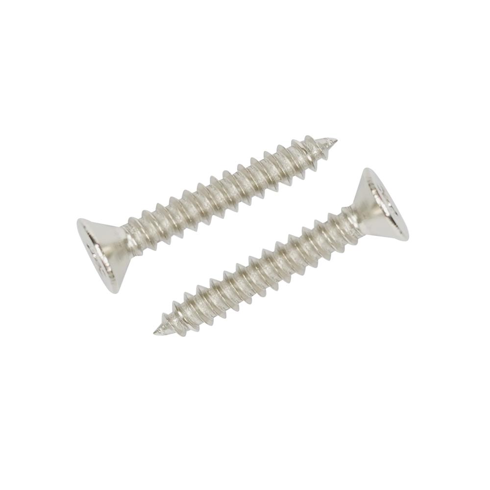 สกรูเกลียวปล่อย TF DEXZON 8X1 นิ้ว แพ็ก 200 ชิ้น