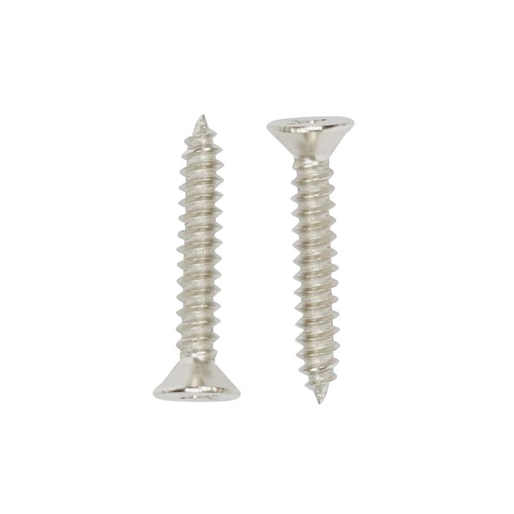 สกรูเกลียวปล่อย TF DEXZON 8X1 นิ้ว แพ็ก 200 ชิ้น