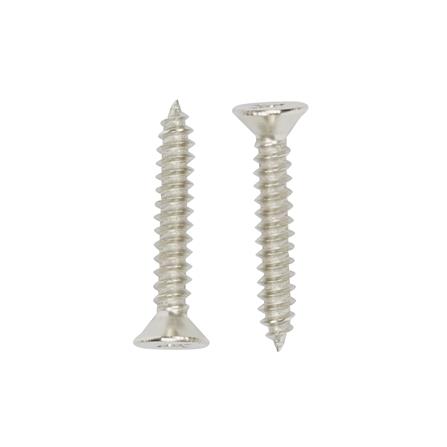 สกรูเกลียวปล่อย TF DEXZON 8X1 นิ้ว แพ็ก 200 ชิ้น_1