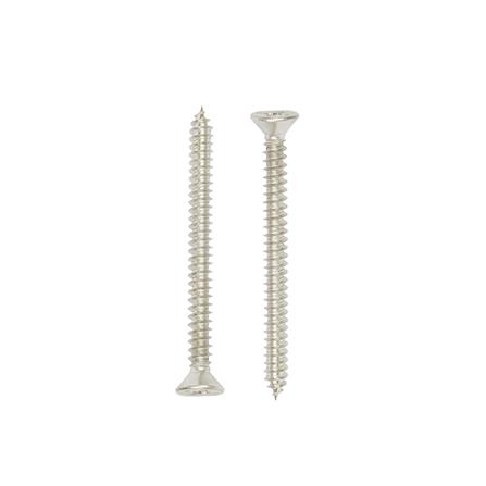 สกรูเกลียวปล่อย TF DEXZON 12X2-1/2 นิ้ว แพ็ก 15 ชิ้น_1