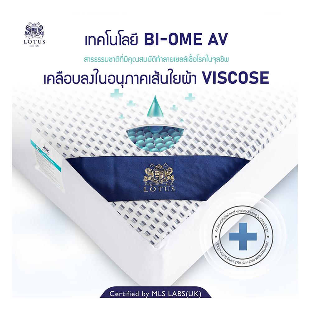 ผ้ารองกันเปื้อน TWIN SIZE LOTUS VIROCLEAN WHITE
