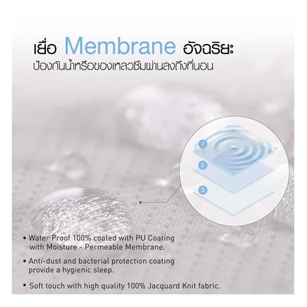 ผ้ารองกันเปื้อน QUEEN SIZE LOTUS HYGIENE WHITE_6