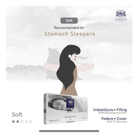 หมอนหนุน ไมโครไฟเบอร์ LOTUS MICRODOWNIA SOFT 20x30 นิ้ว สีขาว_8