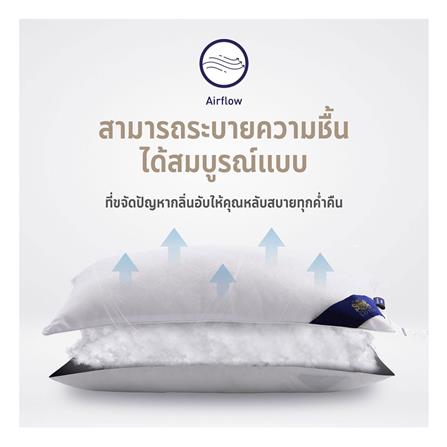 หมอนหนุน ไมโครไฟเบอร์ LOTUS MICRODOWNIA FIRM 20x30 นิ้ว สีขาว_4