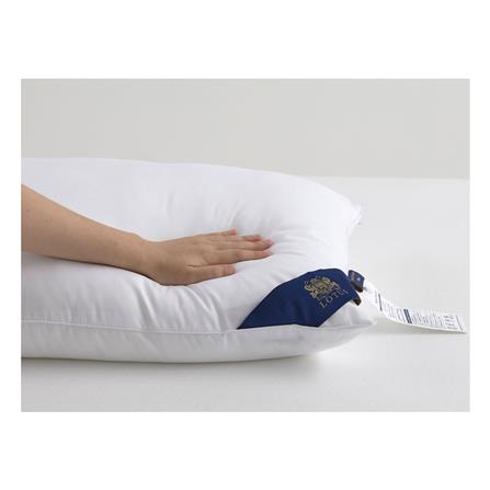 หมอนหนุน ไมโครไฟเบอร์ LOTUS MICRODOWNIA FIRM 20x30 นิ้ว สีขาว_7