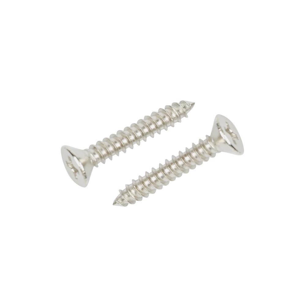 สกรูเกลียวปล่อย TF DEXZON 8X1 นิ้ว แพ็ก 100 ชิ้น