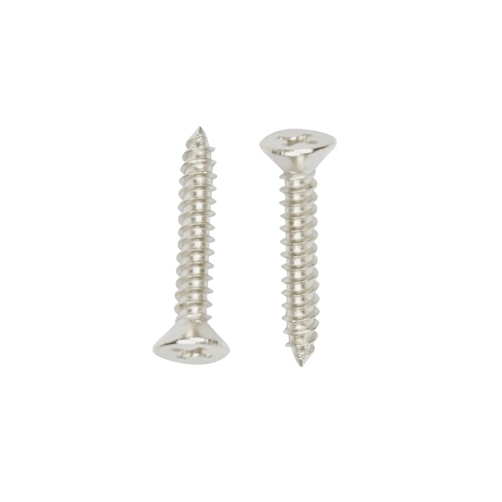 สกรูเกลียวปล่อย TF DEXZON 8X1 นิ้ว แพ็ก 100 ชิ้น