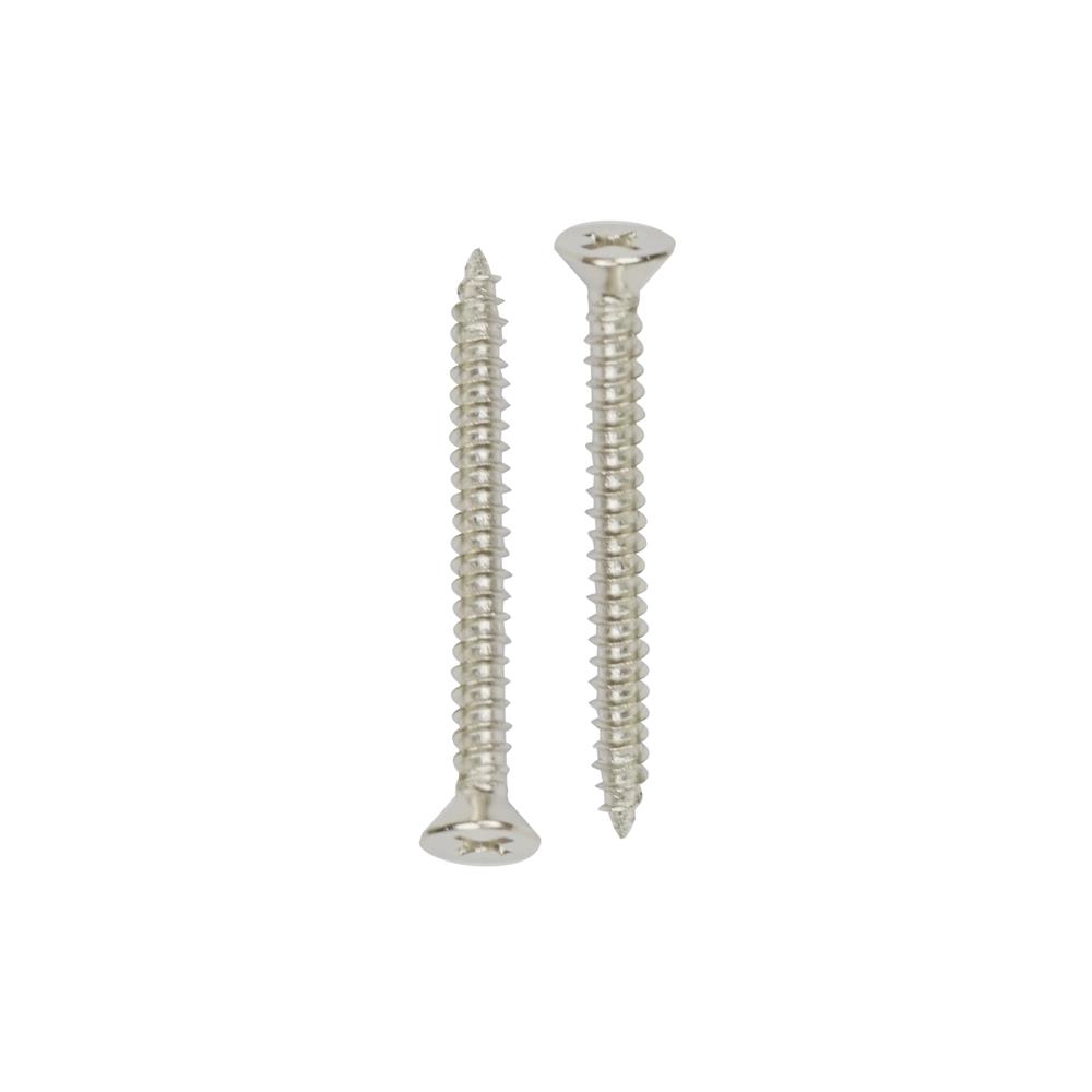 สกรูเกลียวปล่อย TF DEXZON 8X1-1/4 นิ้ว แพ็ก 100 ชิ้น