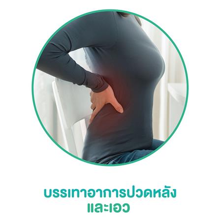 เบาะรองนั่งเพื่อสุขภาพ WKS WAH-00007 สีเทา_2