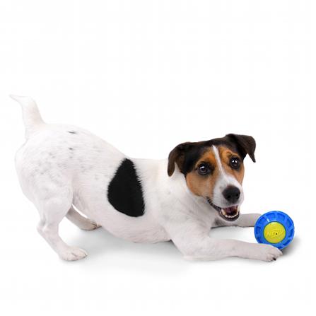 ของเล่นลูกบอลสุนัข NERFDOG MICROSQUEAK EXOBALL SMALL 2.5 นิ้ว_2