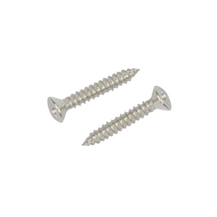 cate-สกรูเกลียวปล่อย