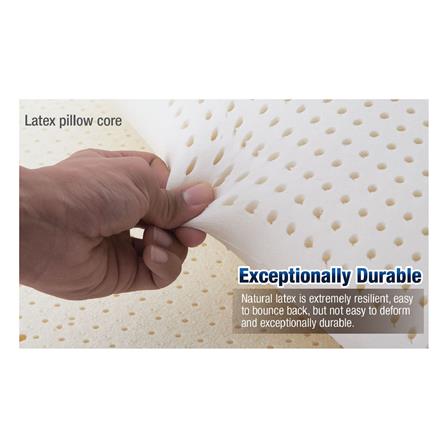 หมอนสุขภาพ ยางพารา LOTUS TALALAY MEDIUM 20x30 นิ้ว สีขาว_8