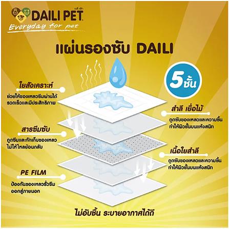 แผ่นรองซับสำหรับสัตว์เลี้ยง DELIPET 60x90 ซม. แพ็ก 20 ชิ้น_1