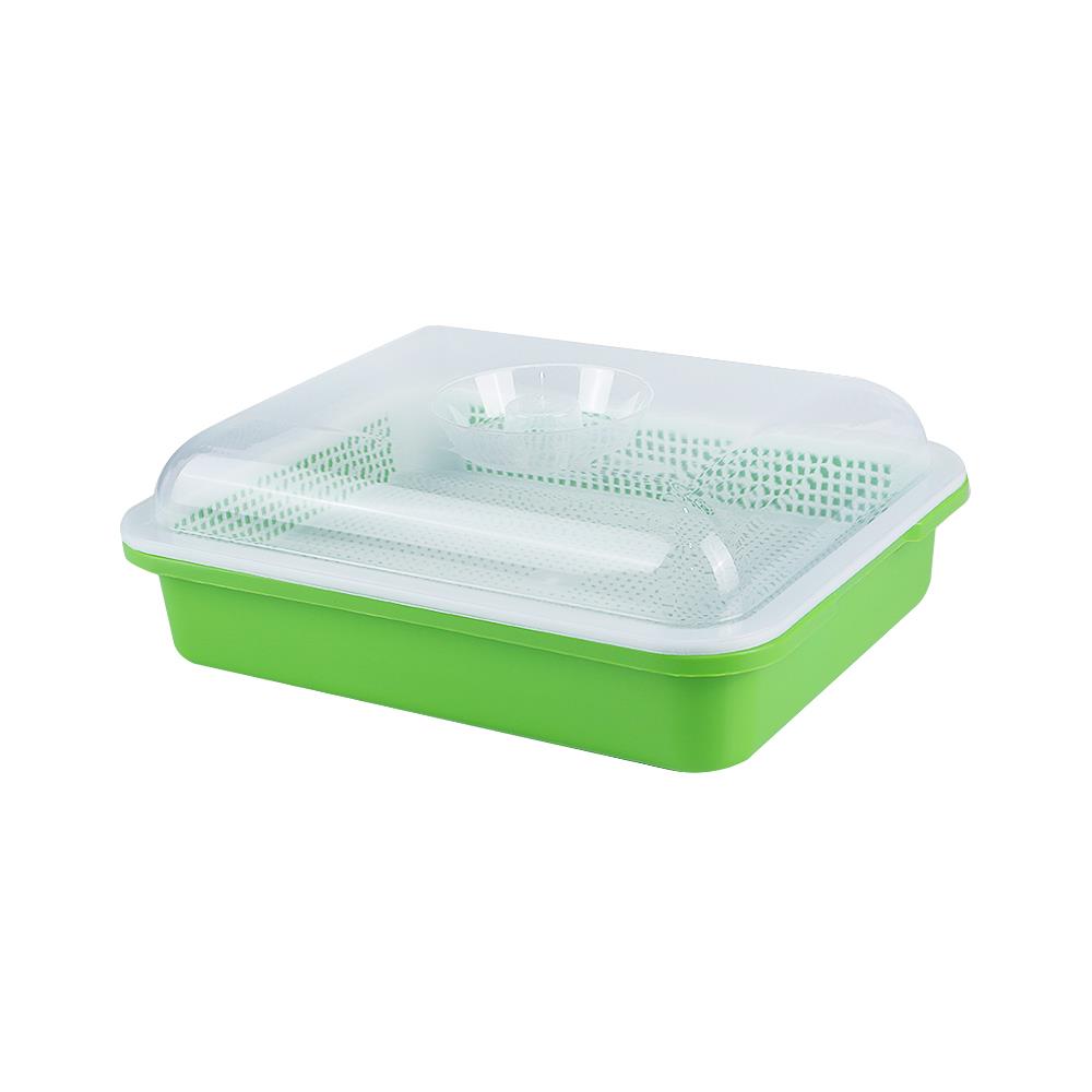 ถาดเพาะต้นอ่อนพร้อมฝาปิด SPRING สีเขียว